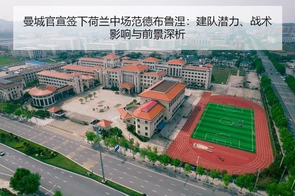 曼城官宣签下荷兰中场范德布鲁涅：建队潜力、战术影响与前景深析